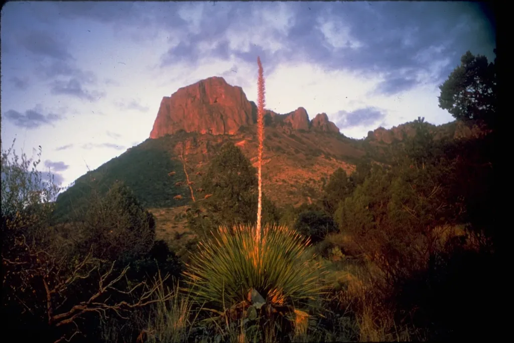Big bend chisos mountains