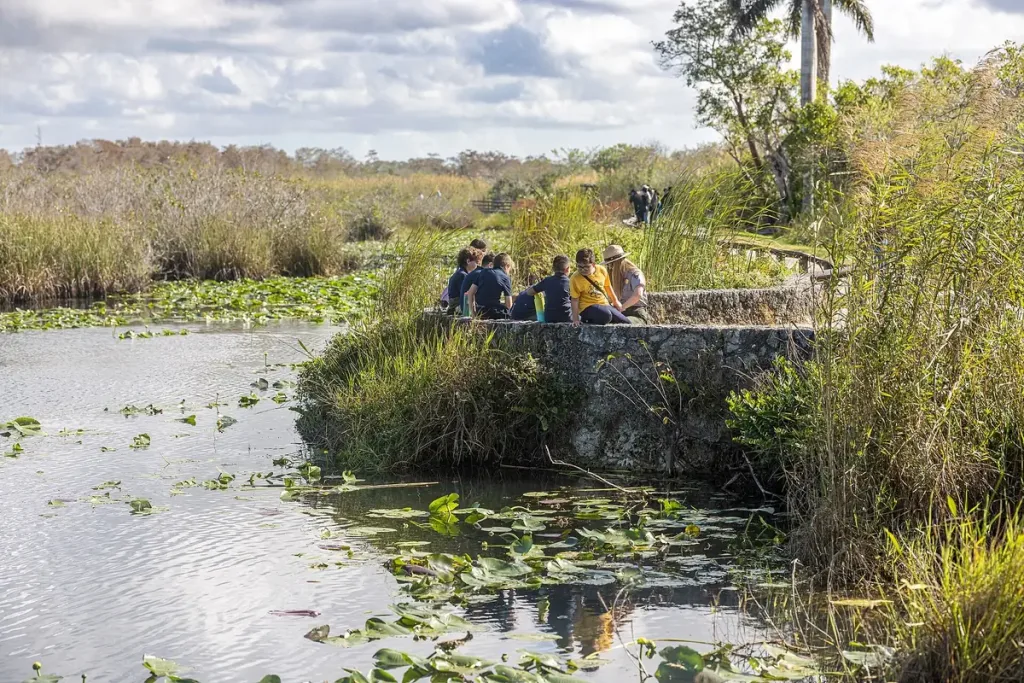 Everglades anhinga trail