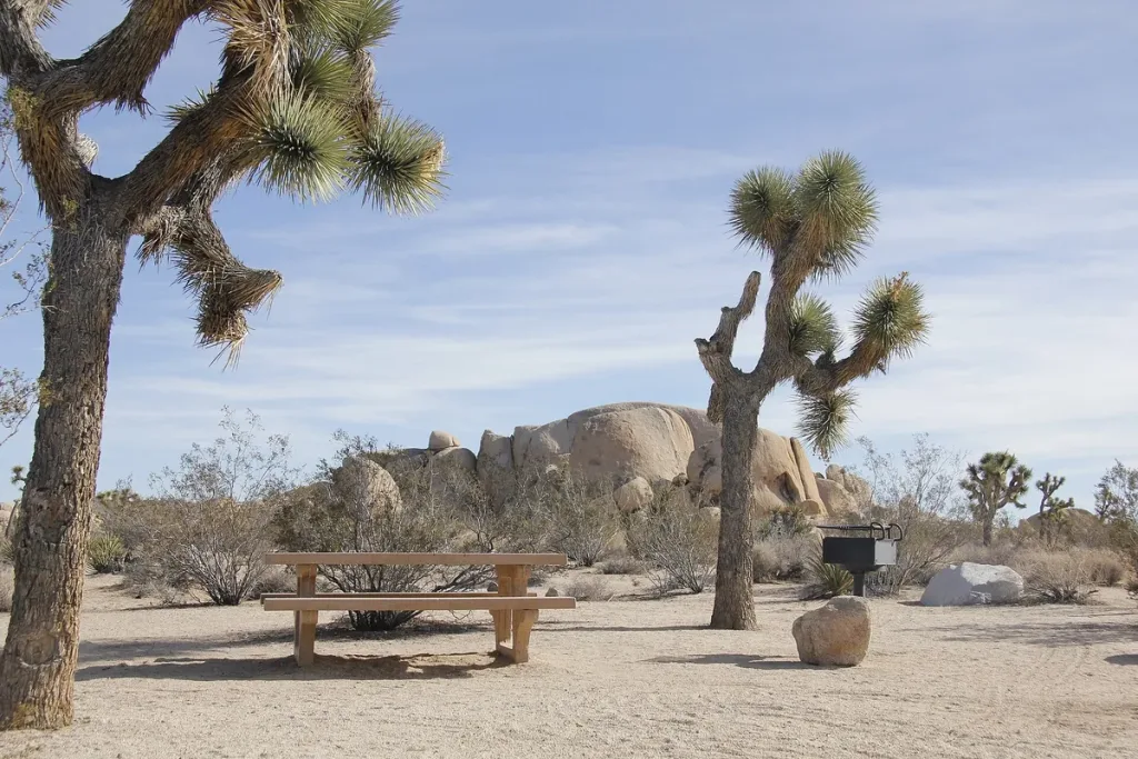Joshua tree belle campground