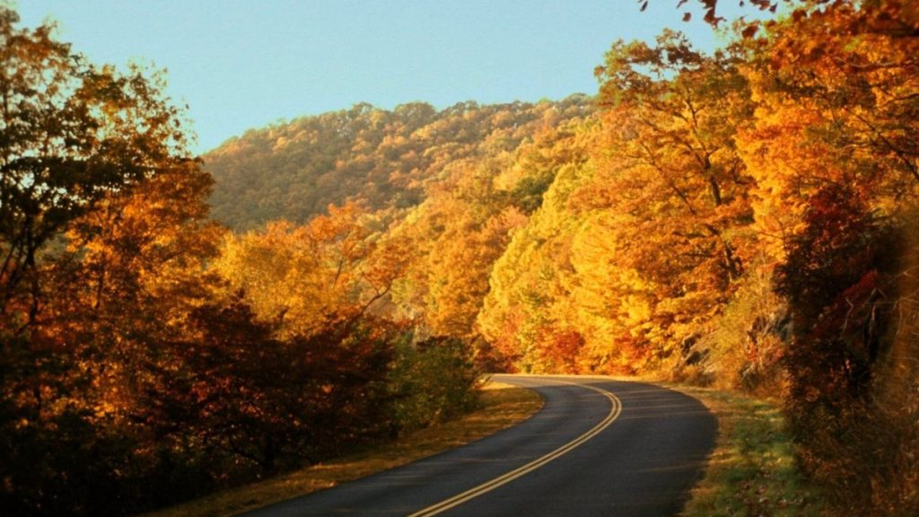 Camper news week oct 12 2026 featured