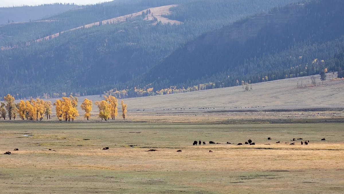 Fee-Free Day Tuesday, Seasonal closures, and more on this weeks CampernewsNow