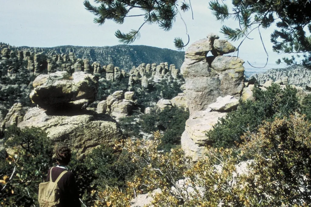 A hiker stands below balanced rock spires and pine trees in Chiricahua National Park, southeastern Arizona