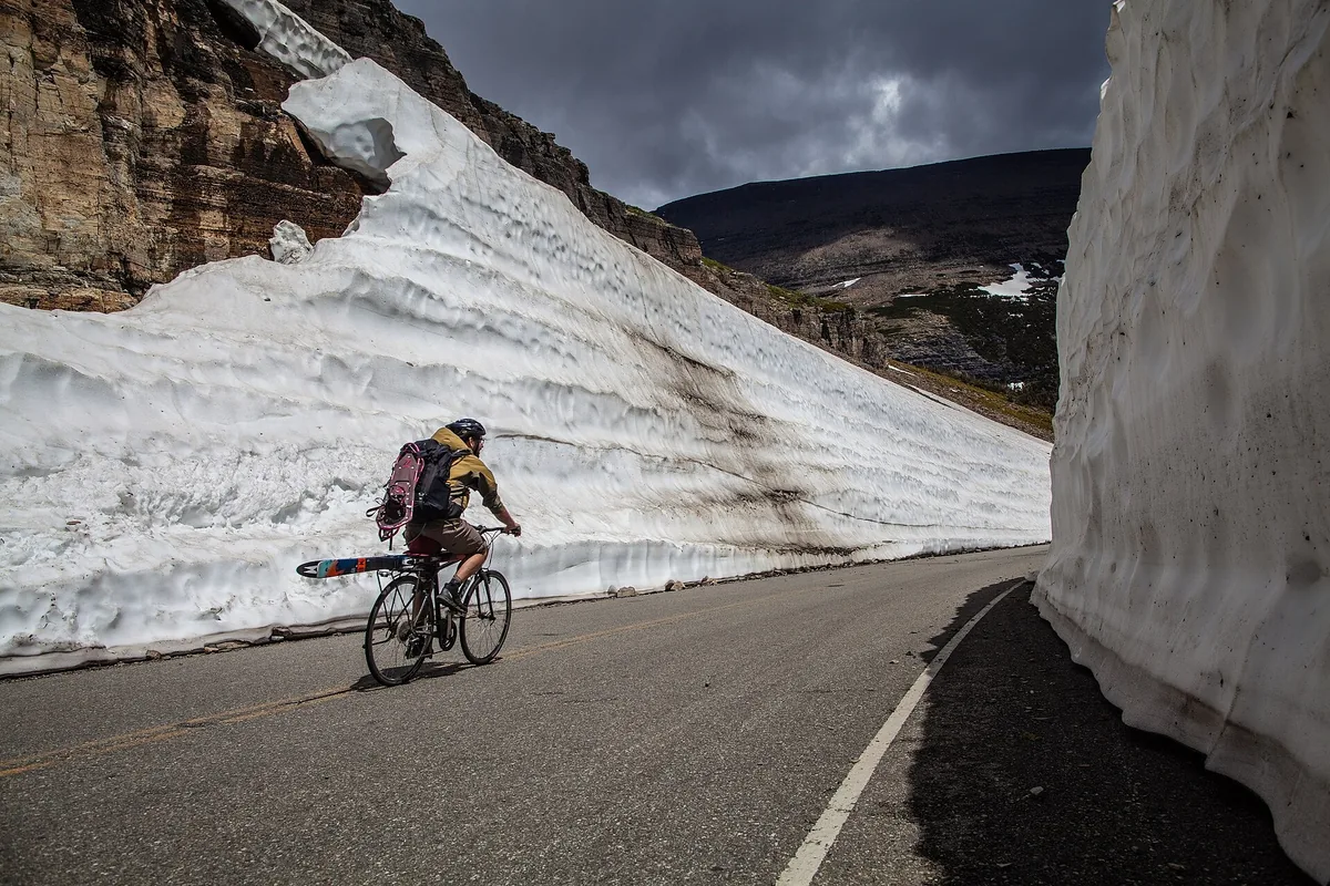 Cyclist riding between tall snow walls on Going-to-the-Sun Road in Glacier National Park