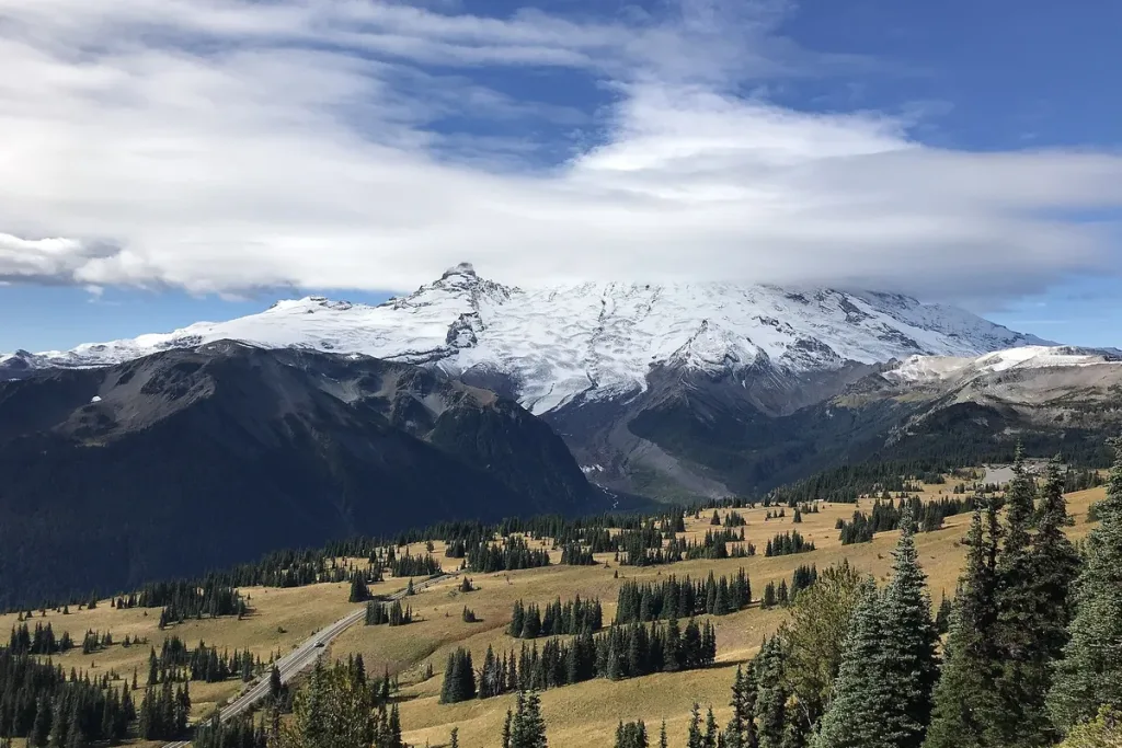 Snowy Mount Rainier rises above green meadows and evergreen forest at Sunrise, Washington