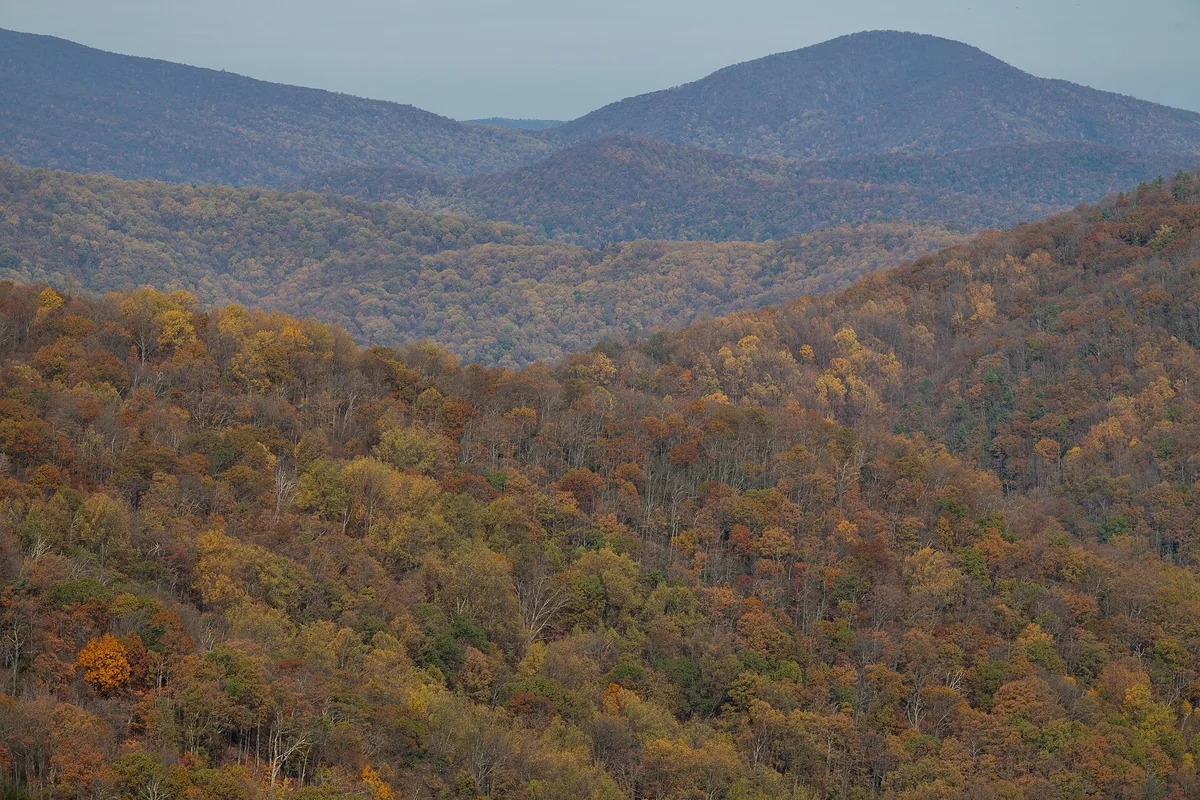 Cold Nights, Desert Wind, Swamp Birds: 6 Late-Fall Camping Essentials