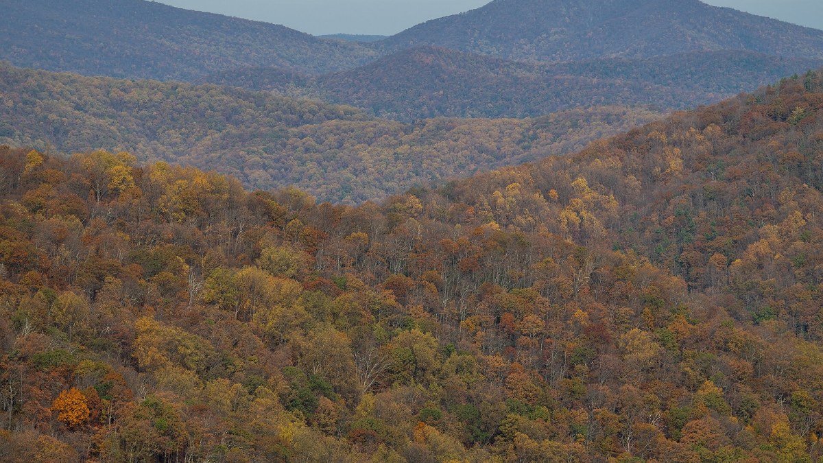 Where to Camp the Next Three Weeks