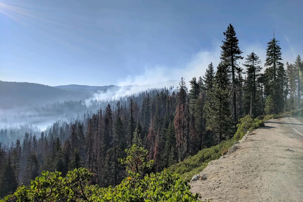 Wildfire smoke rising over a forested ridge in Yosemite National Park